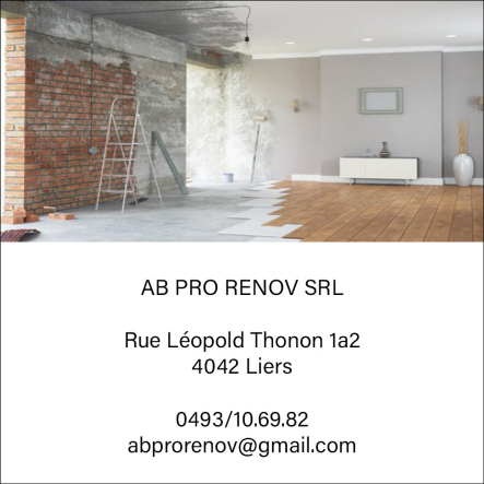 AB PRO RENOV SRL 